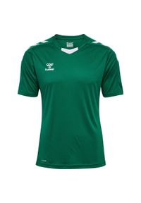 Jersey Hummel Core Xk. Kolor: zielony. Materiał: jersey. Sport: piłka nożna, fitness #1