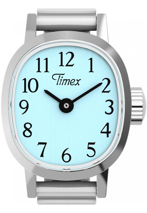 Zegarek Timex Zegarek damski Timex TW2Y77200 srebrny. Kolor: srebrny