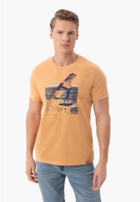 Volcano - T-shirt z nadrukiem T-FOIL. Okazja: na co dzień, na plażę. Materiał: bawełna, jeans, materiał. Długość rękawa: krótki rękaw. Długość: krótkie. Wzór: nadruk. Sezon: lato. Styl: casual, klasyczny, wakacyjny #1