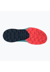 Dynafit - Buty do biegania damskie DYNAFIT Ultra 50. Kolor: niebieski