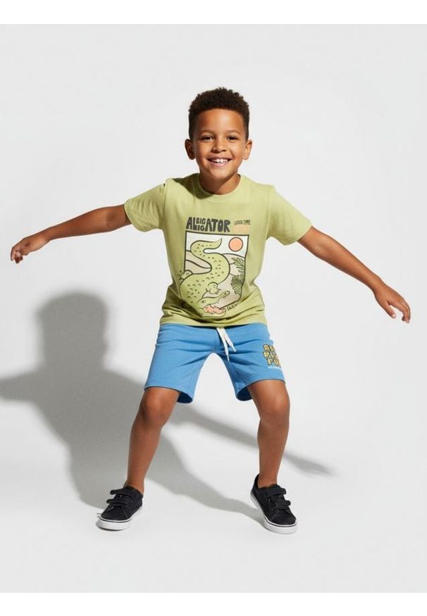 Sinsay - Koszulka z nadrukiem - zielony. Kolor: zielony. Wzór: nadruk