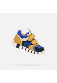 Geox - Buty GEOX B IUPIDOO BOY Niebieski. Okazja: na co dzień. Kolor: brązowy, niebieski, wielokolorowy. Materiał: skóra