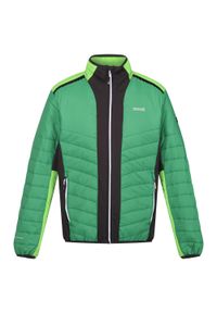 Regatta - Męska Kurtka Halton VII Contrast Panel Baffled Padded Jacket. Kolor: zielony #1