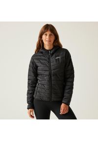 Regatta - Damska pikowana kurtka z kapturem Hillpack IV. Typ kołnierza: kaptur. Kolor: czarny. Materiał: tkanina, poliamid, puch. Sport: turystyka piesza #1