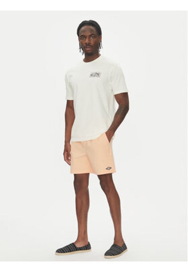 Billabong T-Shirt Scenic Arch Adiv Ss 24A501539 Biały Regular Fit. Kolor: biały. Materiał: bawełna