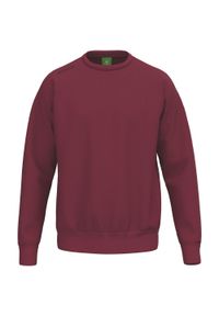 ERIMA - Bluza dziecięca Erima TS. Kolor: czerwony, wielokolorowy, brązowy. Materiał: bawełna