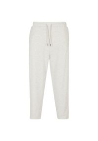 Spodnie do biegania Urban Classics 90‘s GT. Kolor: szary #1
