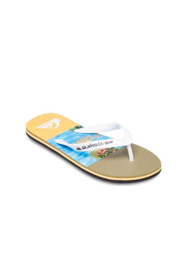 Quiksilver - Klapki dla Mężczyzn MOLOKAI STRIPE 25. Okazja: na plażę. Kolor: niebieski. Materiał: guma, syntetyk, materiał. Styl: sportowy