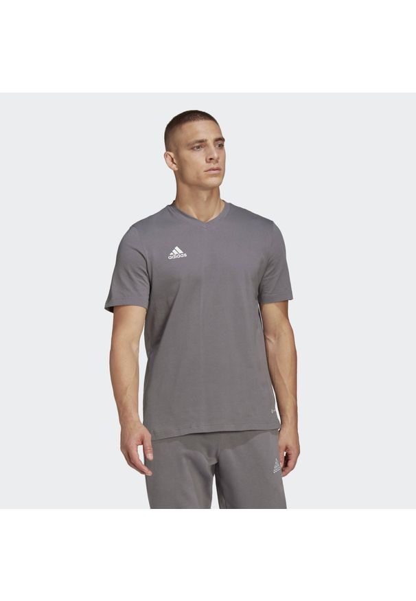 Adidas - Entrada 22 Tee. Kolor: szary. Sport: piłka nożna
