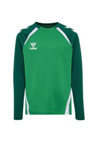 Dziecięcy dżersej z długim rękawem Hummel Lead 2.0. Kolor: zielony. Materiał: jersey. Długość rękawa: długi rękaw. Długość: długie