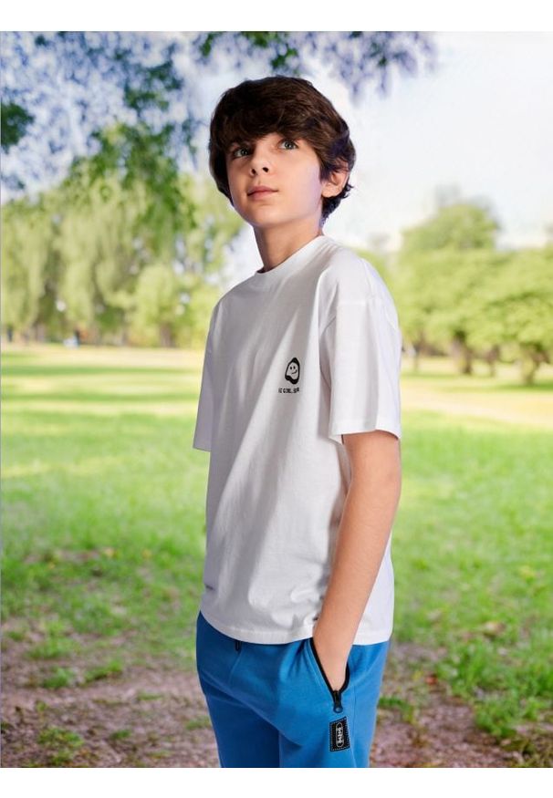 Sinsay - Koszulka - biały. Kolor: biały. Materiał: bawełna