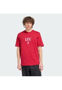 Adidas - Koszulka z grafiką Liverpool FC Seasonal. Kolor: czerwony. Materiał: dzianina. Sport: piłka nożna #1