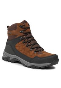 Trapery Whistler Detion Outdoor Leather Boot WP W204389 Pine Bark 1137. Kolor: szary. Sport: outdoor