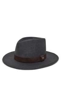 Weekend Max Mara Kapelusz Ciad 2525576055 Szary. Kolor: szary. Materiał: wełna #1