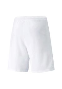 Puma - Męskie Spodenki Dresowe TeamRISE. Kolor: biały. Materiał: dresówka