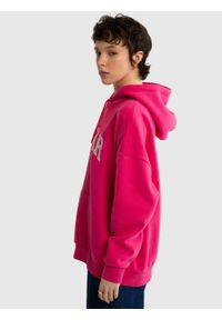 Big-Star - Bluza damska z kapturem różowa Rubialsa 602. Okazja: na co dzień. Typ kołnierza: kaptur. Kolor: różowy. Materiał: bawełna. Wzór: haft. Styl: casual, klasyczny #6