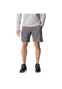 columbia - Spodenki sportowe męskie Columbia Silver Ridge Utility Cargo Shorts. Kolor: szary. Materiał: poliester. Długość: krótkie. Sezon: lato