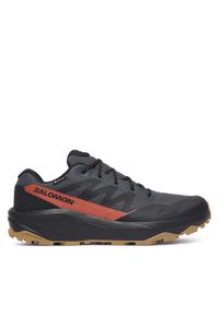 salomon - Trekkingi Salomon. Kolor: szary. Technologia: Gore-Tex. Sport: turystyka piesza #1
