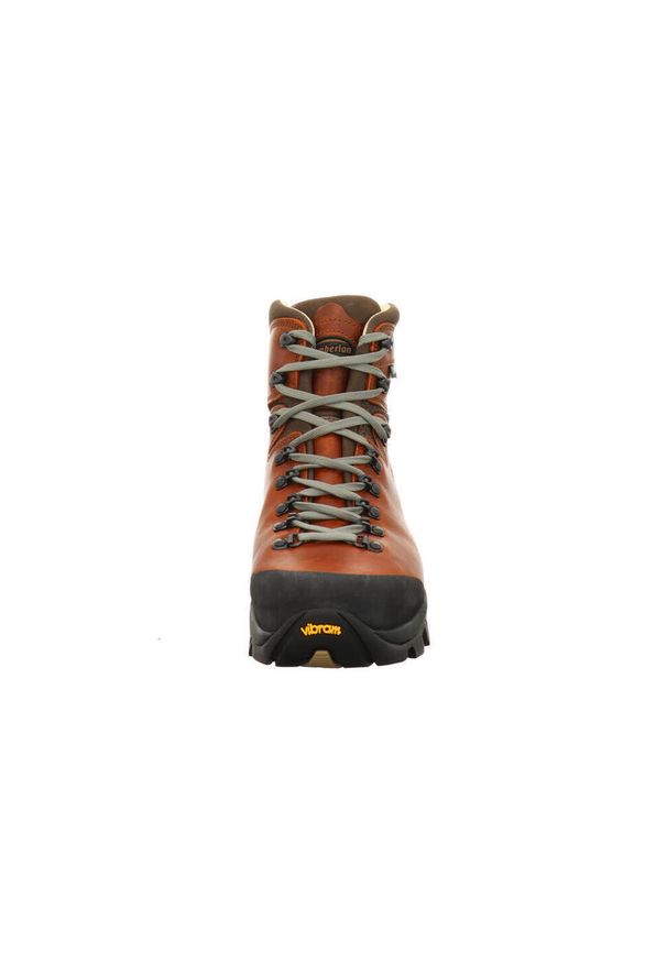Buty do turystyki męskie Zamberlan VIOZ LUX GTX RR. Kolor: brązowy. Sport: turystyka piesza