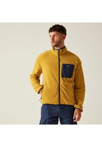 Regatta - Polar turystyczny męski Frankie Full Zip. Kolor: żółty. Materiał: polar. Sport: turystyka piesza #1