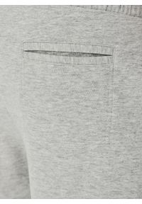 Pako Lorente - Dzianinowe spodnie dresowe w szarym kolorze. Okazja: na co dzień. Kolor: szary. Materiał: dresówka, dzianina. Wzór: gładki. Styl: casual #6