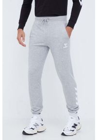 Hummel spodnie dresowe kolor szary z nadrukiem. Kolor: szary. Materiał: dresówka. Wzór: nadruk #1