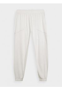 outhorn - Spodnie dresowe męskie - kremowe. Kolor: kremowy. Materiał: dresówka #1