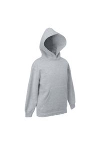 FRUIT OF THE LOOM - Bluza Dziecięca Premium Plain Hoodie. Kolor: szary