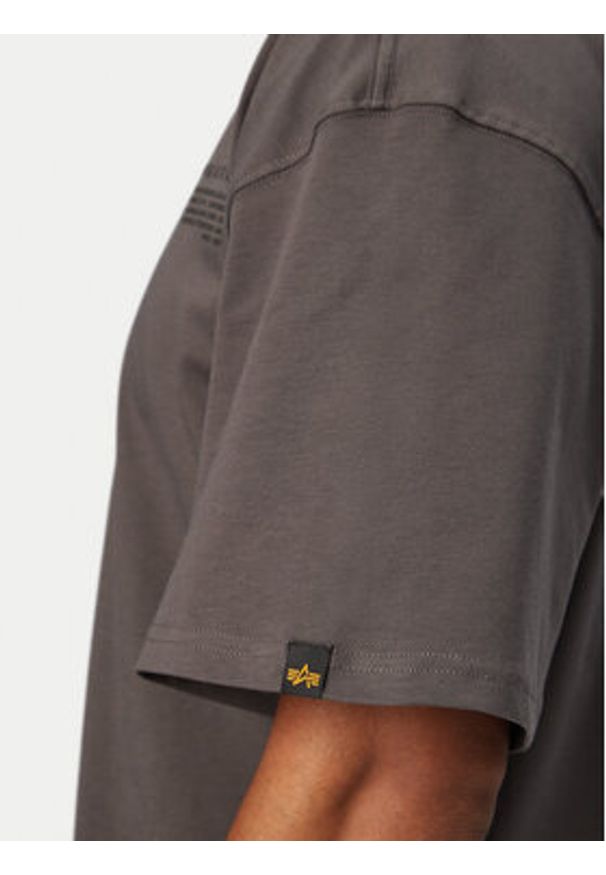 Alpha Industries T-Shirt World Logo 258514 Szary Regular Fit. Kolor: szary. Materiał: bawełna