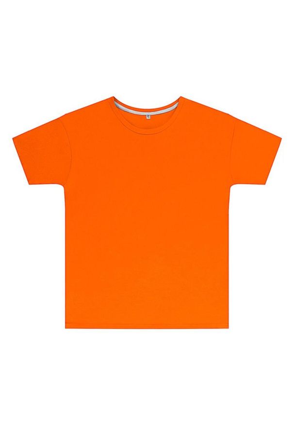 SG - Koszulka Dziecięca Perfect Print. Kolor: żółty, pomarańczowy, wielokolorowy. Wzór: nadruk