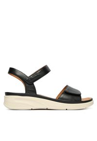 Sandały Josef Seibel. Kolor: czarny #1