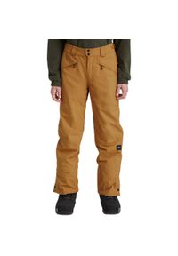 O'Neill - Spodnie narciarskie męskie O'NEILL Hammer Pants. Kolor: brązowy. Sezon: zima. Sport: narciarstwo