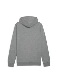 Bluza sportowa męska Puma B23611. Typ kołnierza: kaptur. Kolor: szary. Sport: piłka nożna
