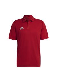 Koszulka polo do piłki nożnej męska Adidas Entrada 22 Polo z krótkim rękawem. Typ kołnierza: polo. Kolor: czerwony. Długość rękawa: krótki rękaw. Długość: krótkie