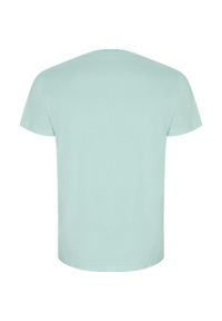 ROLY - Męska Złota Gładka Koszulka Z Krótkim Rękawem. Kolor: zielony. Długość rękawa: krótki rękaw. Długość: krótkie. Wzór: gładki. Sport: turystyka piesza #2