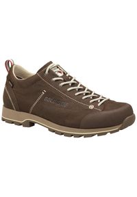 Buty trekkingowe męskie Dolomite Cinquantaquattro Low FG GTX. Kolor: brązowy
