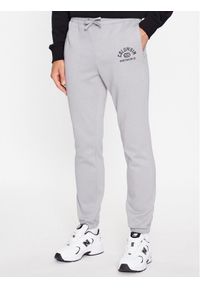 columbia - Columbia Spodnie dresowe M Trek™ Jogger Szary Regular Fit. Kolor: szary. Materiał: bawełna