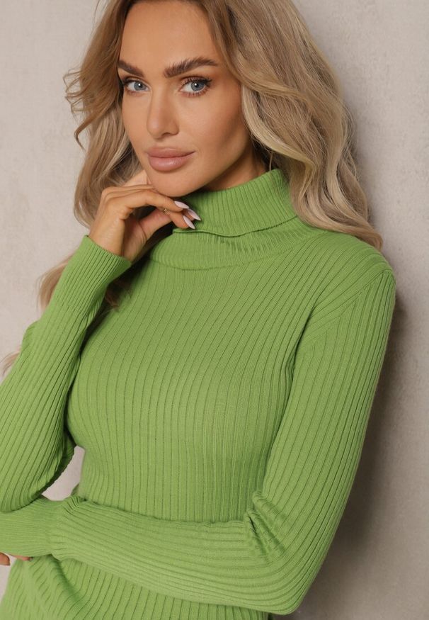 Renee - Jasnozielony Klasyczny Golf z Prążkowanego Materiału Belikorre. Okazja: na co dzień. Typ kołnierza: golf. Kolor: zielony. Materiał: materiał, prążkowany. Styl: klasyczny