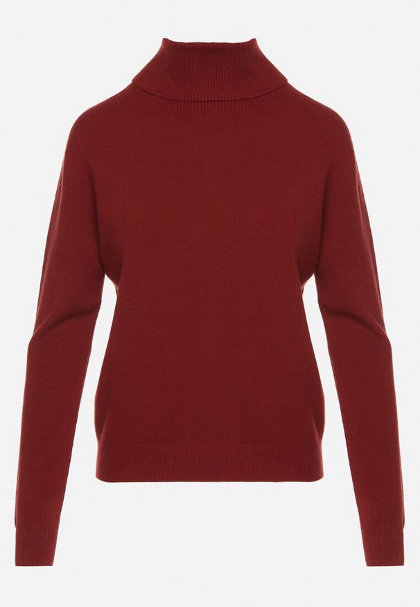 Born2be - Bordowy Klasyczny Golf z Wiskozą i Wełną Salentie. Okazja: na co dzień, do pracy. Typ kołnierza: golf. Kolor: czerwony. Materiał: wełna, wiskoza. Styl: klasyczny