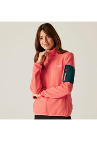 Regatta - Softshell turystyczny damski Aldean. Kolor: różowy. Materiał: softshell. Sport: turystyka piesza #1