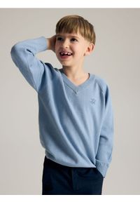 Reserved - Sweter z dekoltem V - jasnoniebieski. Kolor: niebieski. Materiał: dzianina, bawełna #1