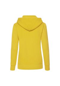 FRUIT OF THE LOOM - Bluza Damska Z Kapturem. Typ kołnierza: kaptur. Kolor: żółty, pomarańczowy, wielokolorowy