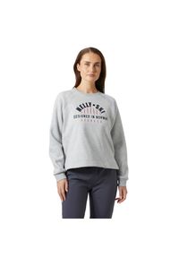Sweter damski Helly Hansen Bliss. Kolor: szary. Sezon: zima. Sport: narciarstwo