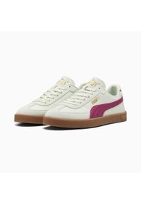 Puma Buty Club Ii Era 39744737. Kolor: beżowy. Materiał: syntetyk, skóra