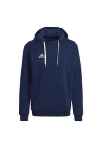 Bluza do piłki nożnej męska Adidas Entrada 22. Kolor: niebieski. Materiał: bawełna, poliester