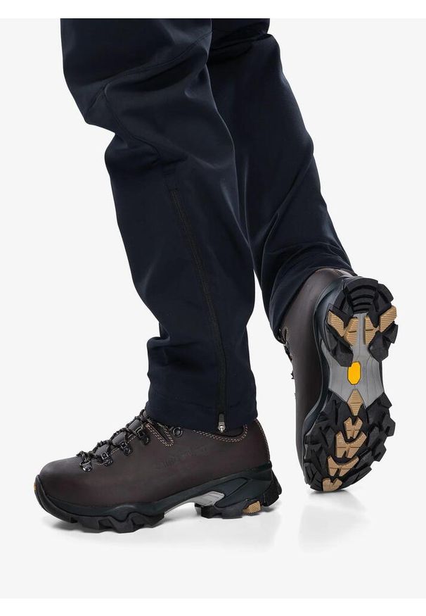 Buty trekkingowe damskie Zamberlan Vioz GTX. Kolor: brązowy