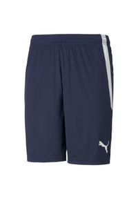 Spodenki męskie Puma teamLIGA. Kolor: niebieski, wielokolorowy, biały. Długość: krótkie. Sezon: lato