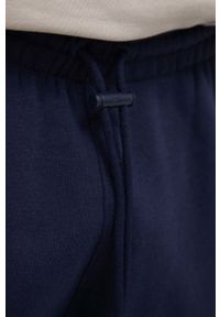 Reebok Classic spodnie męskie kolor granatowy z aplikacją. Kolor: niebieski. Materiał: dzianina. Wzór: aplikacja