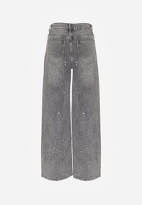 Born2be - Szare Szerokie Jeansy z Wysokim Stanem Zdobione Błyszczącymi Drobinami Isabela. Okazja: na co dzień. Stan: podwyższony. Kolor: szary. Wzór: aplikacja. Styl: klasyczny, casual, elegancki #5