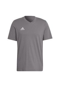 Adidas - Entrada 22 Tee. Kolor: szary. Sport: piłka nożna